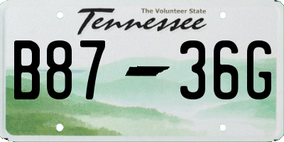 TN license plate B8736G