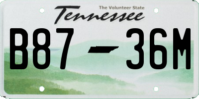 TN license plate B8736M