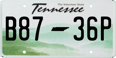 TN license plate B8736P