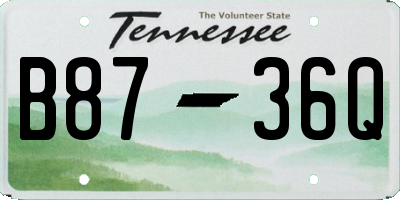 TN license plate B8736Q