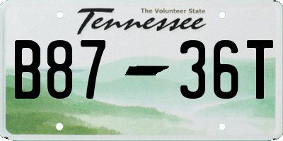 TN license plate B8736T