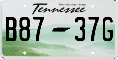 TN license plate B8737G