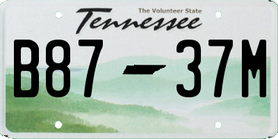 TN license plate B8737M
