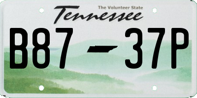 TN license plate B8737P