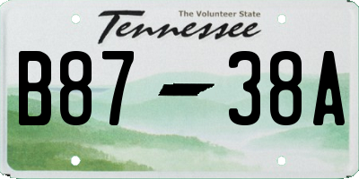 TN license plate B8738A