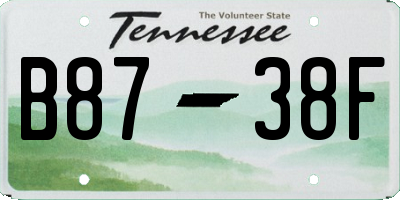 TN license plate B8738F