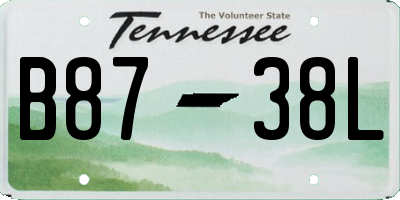 TN license plate B8738L