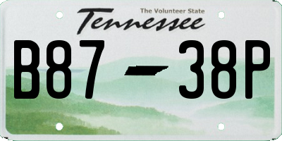 TN license plate B8738P