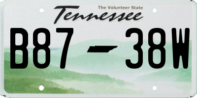 TN license plate B8738W