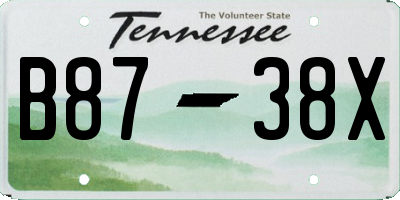 TN license plate B8738X