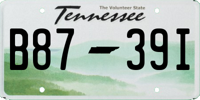 TN license plate B8739I
