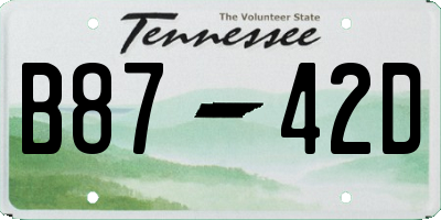 TN license plate B8742D