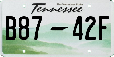 TN license plate B8742F