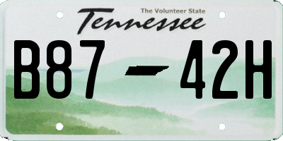 TN license plate B8742H