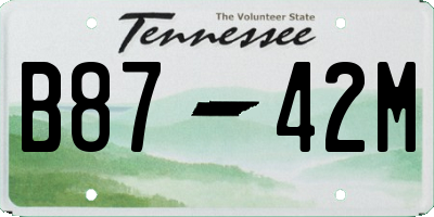 TN license plate B8742M