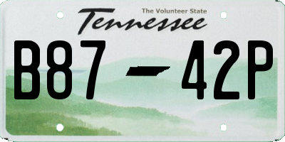 TN license plate B8742P