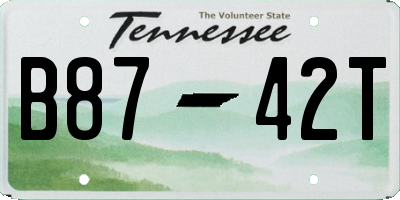 TN license plate B8742T