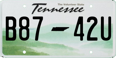 TN license plate B8742U