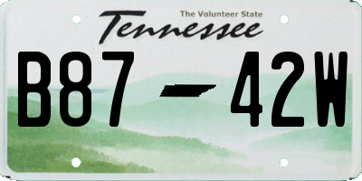 TN license plate B8742W