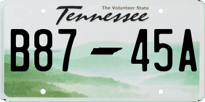 TN license plate B8745A