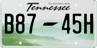 TN license plate B8745H