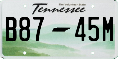 TN license plate B8745M