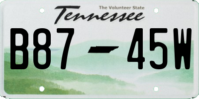 TN license plate B8745W