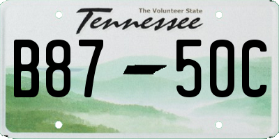 TN license plate B8750C