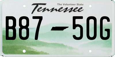 TN license plate B8750G