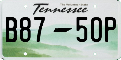 TN license plate B8750P