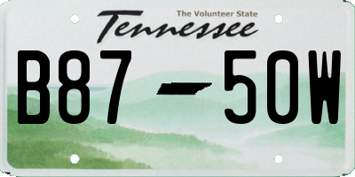TN license plate B8750W