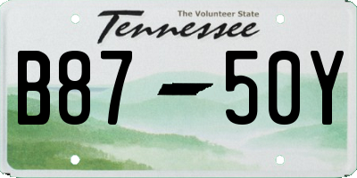 TN license plate B8750Y