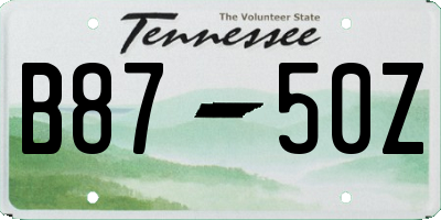 TN license plate B8750Z
