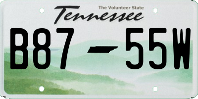 TN license plate B8755W