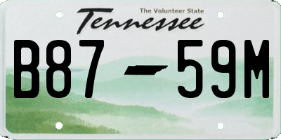 TN license plate B8759M