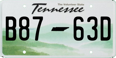 TN license plate B8763D
