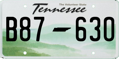 TN license plate B8763O