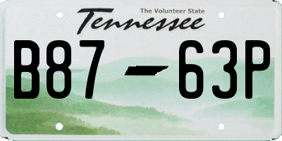 TN license plate B8763P