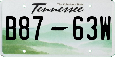 TN license plate B8763W