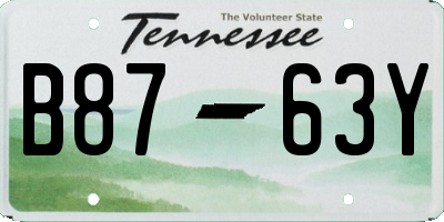 TN license plate B8763Y