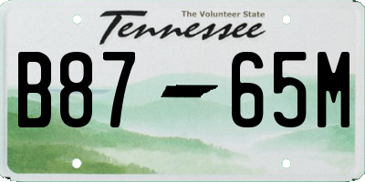 TN license plate B8765M