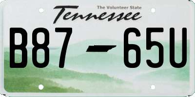TN license plate B8765U