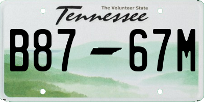 TN license plate B8767M