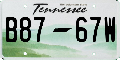 TN license plate B8767W