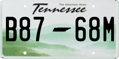 TN license plate B8768M