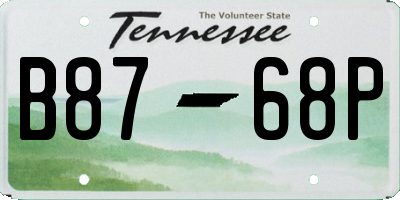 TN license plate B8768P