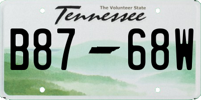 TN license plate B8768W