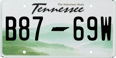 TN license plate B8769W