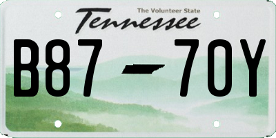 TN license plate B8770Y