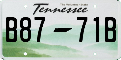 TN license plate B8771B